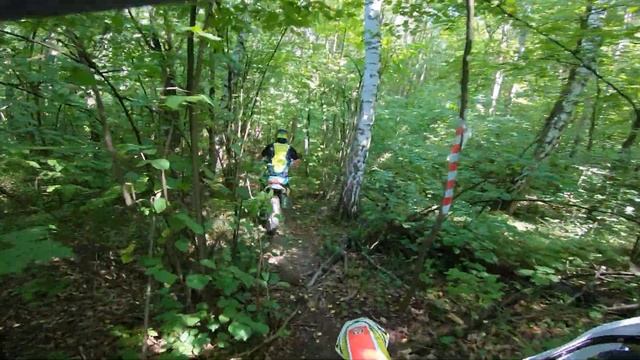 Просмотр трассы Лес Чудес 3, класс Лайт, 1 часть смотреть онлайн