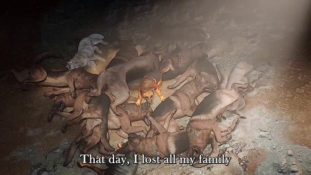 WOLF GAME | ❗So miserable! ?Puppies are always abandoned, will they survive #wolfgame #shorts смотреть онлайн