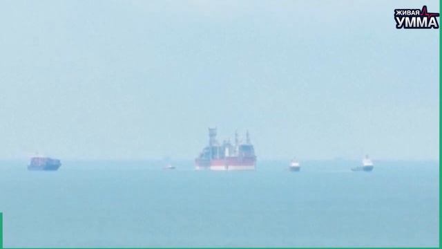 Борьба с «Израилем» — это борьба за существование, а не за границы смотреть онлайн