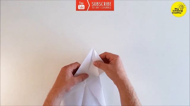 Canard Paper Airplane | Origami Paper Planes