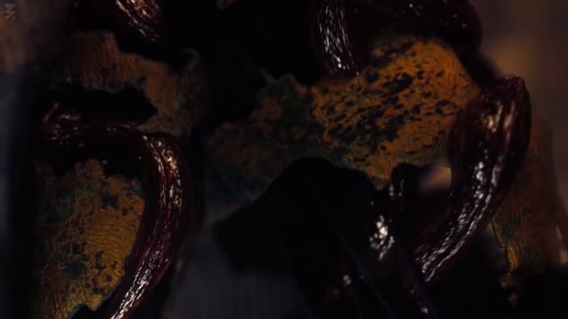 Springtrap - I always come back [FNAF] The Perfect Girl смотреть онлайн