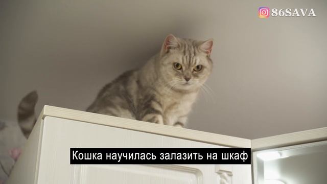 ПОДАРОК НА 18 ЛЕТИЕ. О ЧЕМ МЕЧТАЕТ? смотреть онлайн