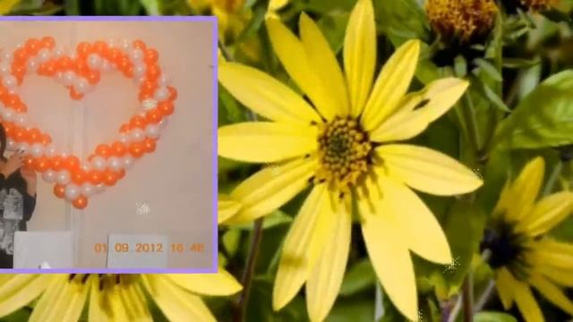 ПЕВИЦА НОННА смотреть онлайн