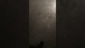 Ремонт пола на рефрижераторе шмиц часть вторая