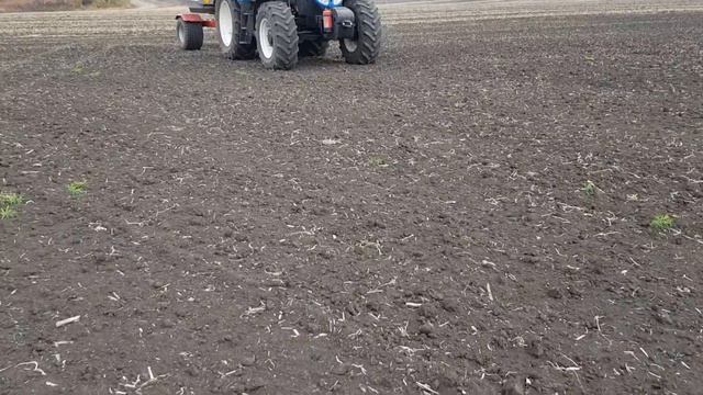 Новая культура Спельта. Посев румом под дисковку. смотреть онлайн