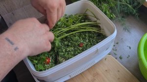 Квашеные баклажаны. Самая вкусная закуска на все времена. Баклажаны с чесноком и зеленью. ???