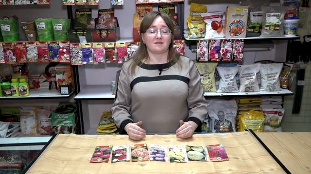 Как вырастить красивые астры. смотреть онлайн