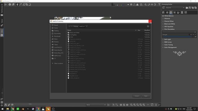 Using Film Simulation LUTs In Rawtherapee