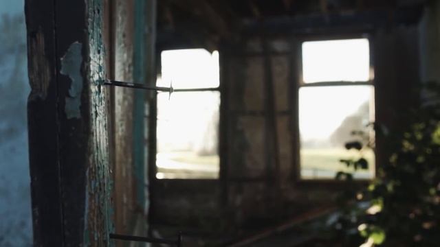 В аэропорту собака вырвалась из рук хозяйки и бросилась к незнакомцу. Мужчина достал телефон… смотреть онлайн