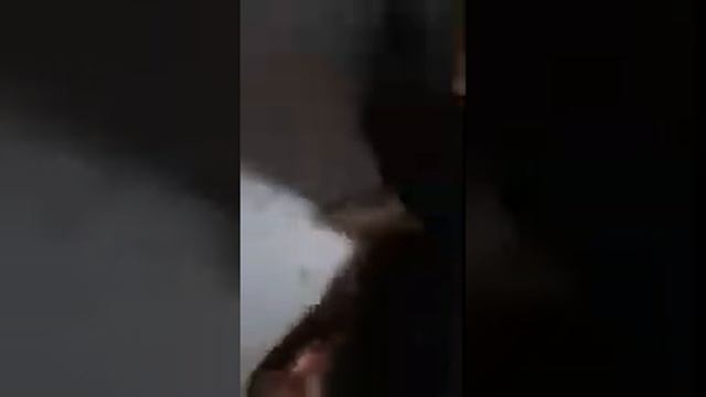 кот ведет работу из коробки смотреть онлайн