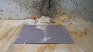 How To Fix a Water Damaged iPhone