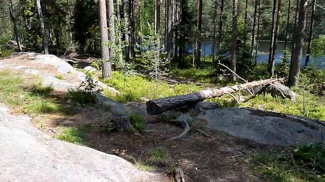 Panasonic TZ10 nature conservation area смотреть онлайн
