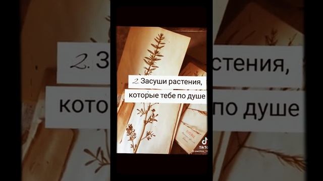 как вести травник? смотреть онлайн