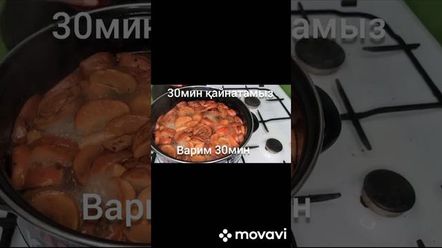 Животные в Зоопарках