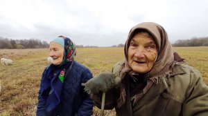 14 КОЗ И ОНА ОДНА В ЧИСТОМ ПОЛЕ С ПЕСНЯМИ!!!