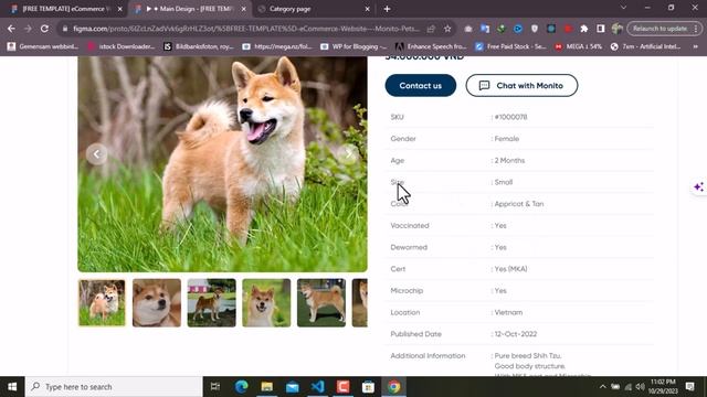 10 - Creating a Pet Store E-commerce Website | HTML, CSS, SCSS, and JavaScript for Beginners смотреть онлайн