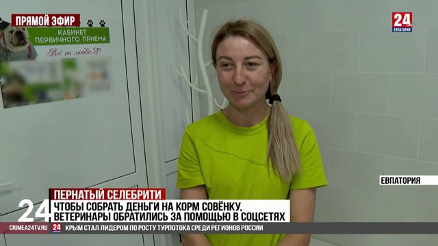 Пернатый селебрити смотреть онлайн
