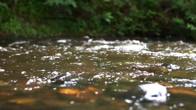 Я все помню смотреть онлайн