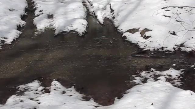 Прогулка вокруг Чатыр-Дага, тест чайника (17.03.2019) смотреть онлайн