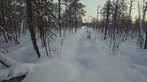 Снегоход буран пробиваем снежный целик 30км быстро