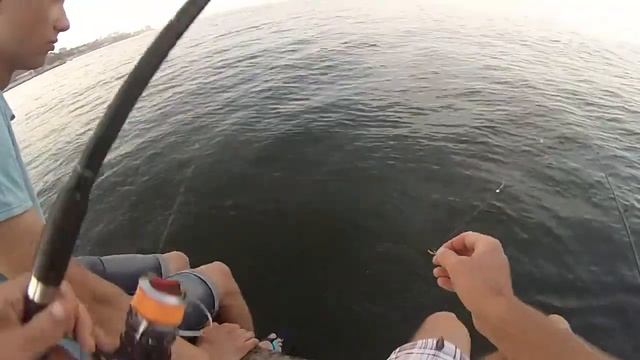 Самодур.Ловля ставриды и селёдки с пирса. смотреть онлайн