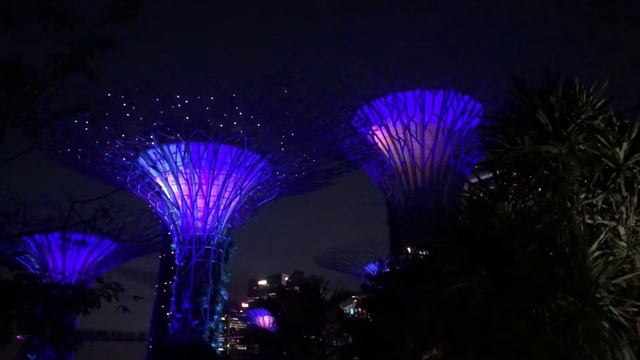 “Travel entry” Singapore marina bay смотреть онлайн