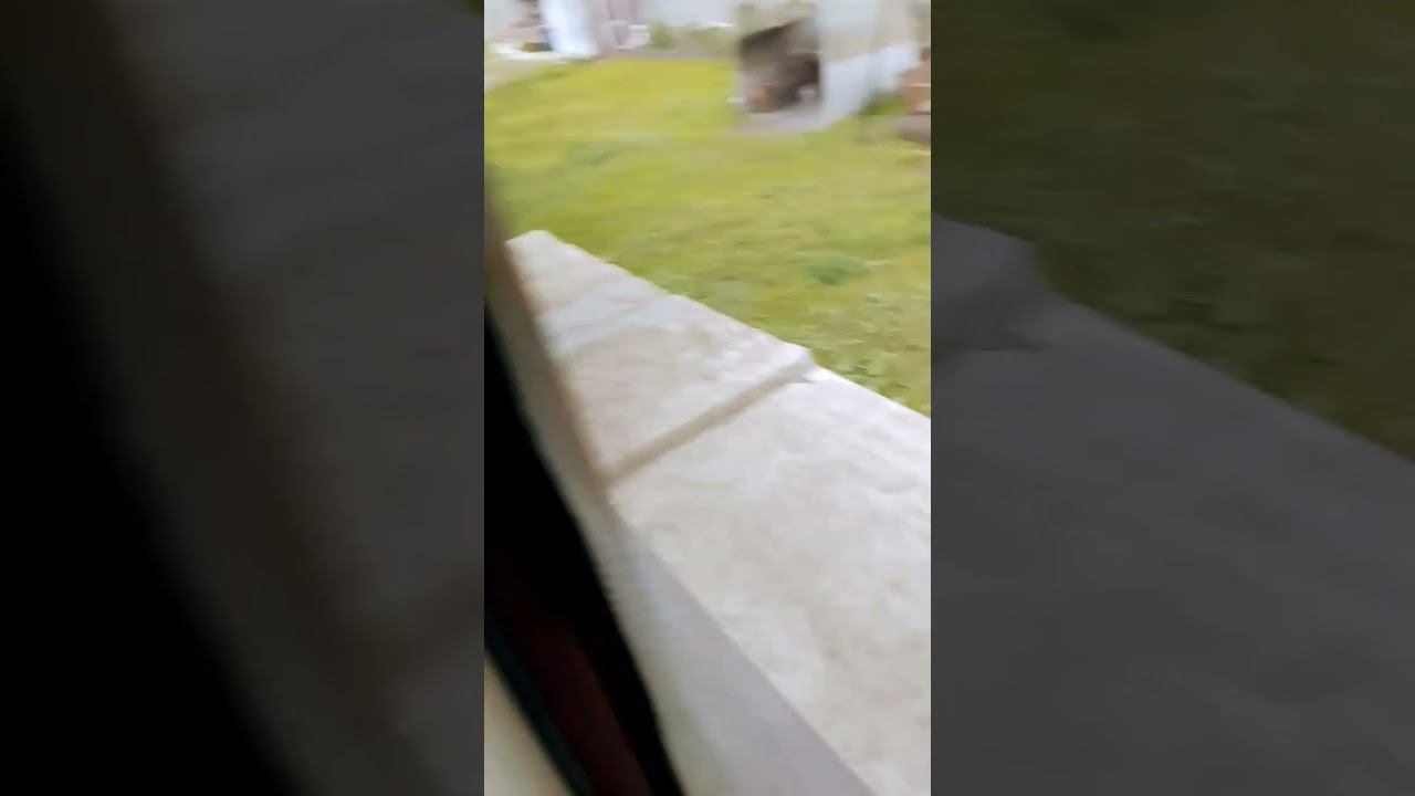 9 мая 2024 г. смотреть онлайн