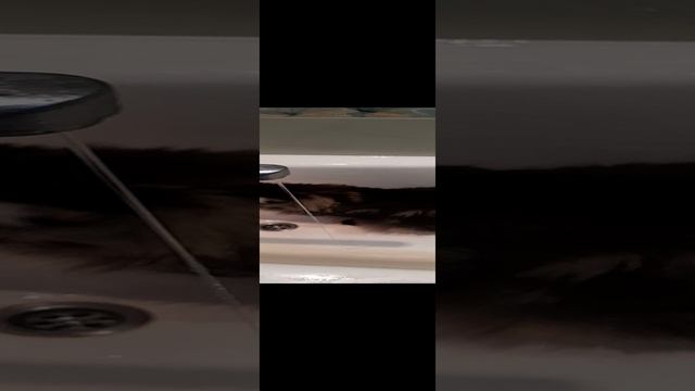 Это удивительно!!!Вы только посмотрите...Кот и вода) смотреть онлайн