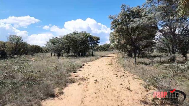 PR1451 Game Farm 460 ha for sale Alma Limpopo смотреть онлайн