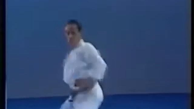 Nijushiho kata shotokan jka смотреть онлайн