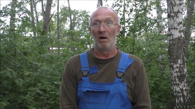 Юрий Шамарин. ВГОО "Общество защиты бездомных животных "Дора". Воронеж. 12 мая 2020 смотреть онлайн