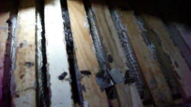 Пчеловодство. Слёт пчёл палка о двух концах смотреть онлайн