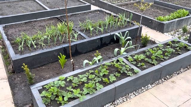 В ОГОРОДЕ ТОЖЕ ДОЛЖНО БЫТЬ ВСЕ КРАСИВО!?УСТАНОВИЛИ КЛУБНИЧНУЮ ГРЯДКУ?ЗАМЕНИЛИ ПРОПАВШИЕ РАСТЕНИЯ✅ смотреть онлайн