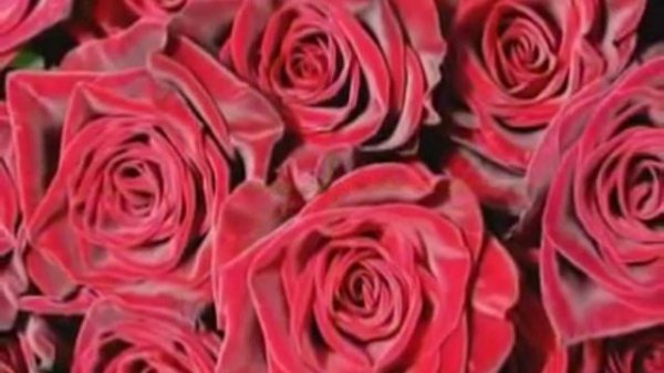 Fausto Papetti - Emmanuelle