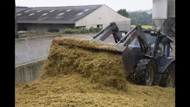 Magnum Eleveurs en Bretagne, par Richard Kalvar Vsd смотреть онлайн