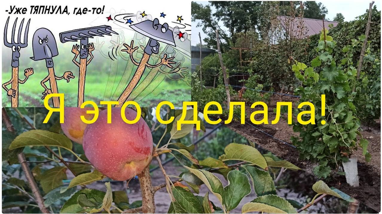 Кубанские будни/Вот это я тяпнула, вот это я накосячила! Ну как их не любить!? смотреть онлайн