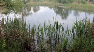 Ловля ОГРОМНЫХ ОКУНЕЙ на донки!!! РЫБАЛКА как в СССР на выползка и мясо