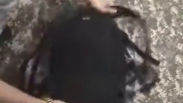 Обзор рюкзака STURM MIL-TEC US ASSAULT PACK SM BLACK