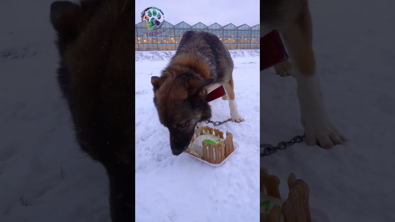 Сегодня тот самый день! смотреть онлайн