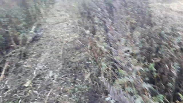 Спец покос 20 соток тяжёлого бурьяна. смотреть онлайн