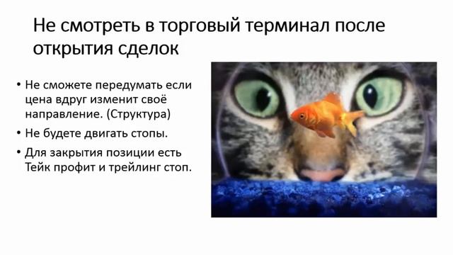 Психология трейдинга. Пять способов не косячить. смотреть онлайн