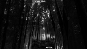 Гио Пика (Хвоя)