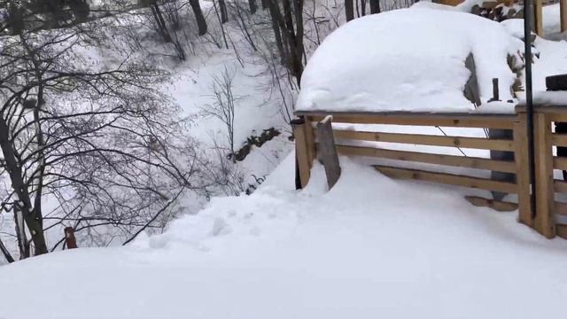 Отдых в Закопане. Аквапарк Закопане/Zakopane. Aquapark Zakopane смотреть онлайн