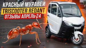 Отзывы TRISCOOTER с кабиной  АПРЕЛЬ 24  КУПИТЬ 8800 777 40 97_v720P