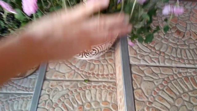 До/Після)))Вхід в будинок...Сирена(((( смотреть онлайн
