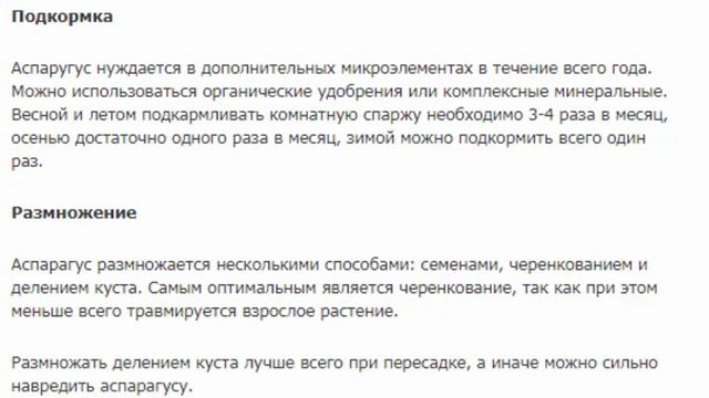 Аспарагус Микс смотреть онлайн