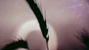 Алибек Днишев - Пшеница золотая