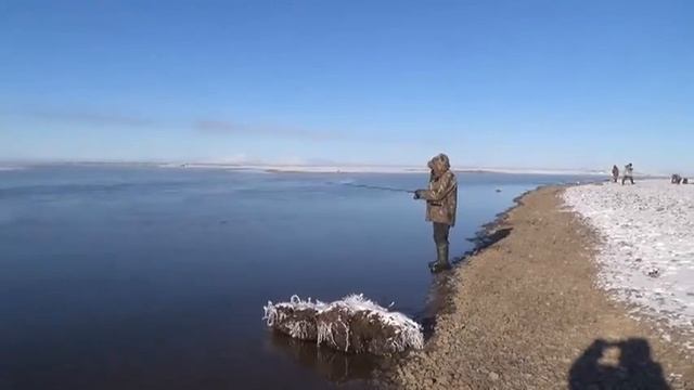 Певек. Чаун. "Какая рыбалка без ухи?..." Часть 3(Певек.Сентябрь-октябрь 2015г) смотреть онлайн