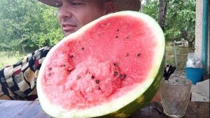 ОБЖОР АРБУЗ/МУКБАНГ сладкий арбузик