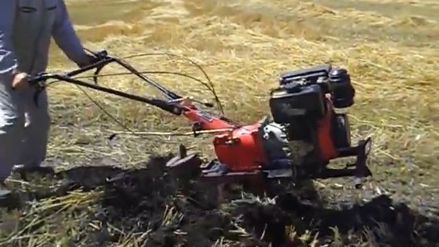 Кентавр і фреза ротоватор смотреть онлайн